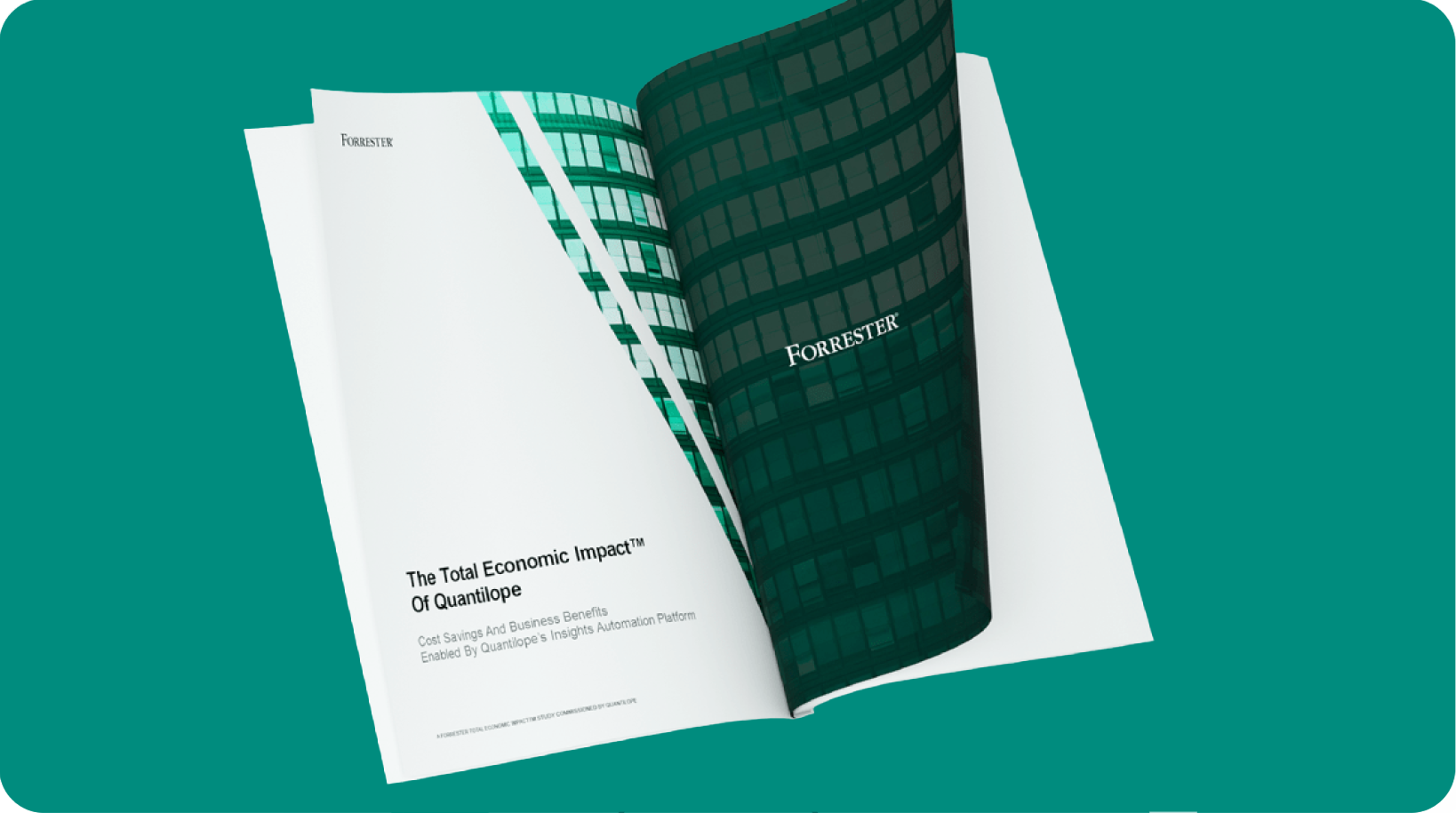 rounded-corners-forrester-2023