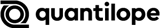 quantilope logo quantilope logo