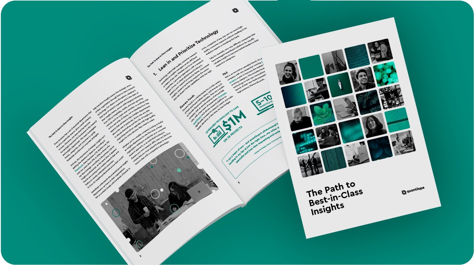 rounded-image-bestinclassinsights