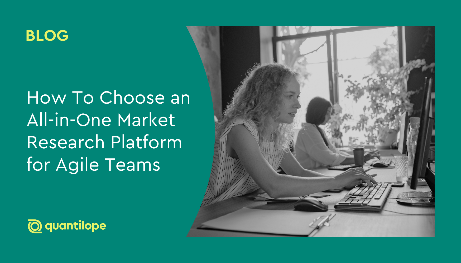 woman looking at a computer screen sitting at a desk