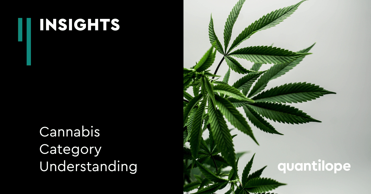 category understanding study cannabis plant 
