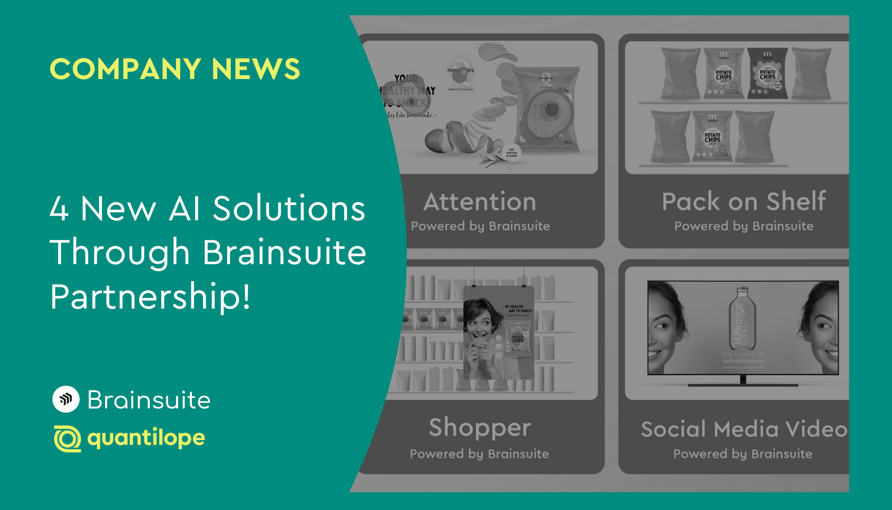 quantilope Partners With Brainsuite For AI-Driven Marketing Effectiveness!