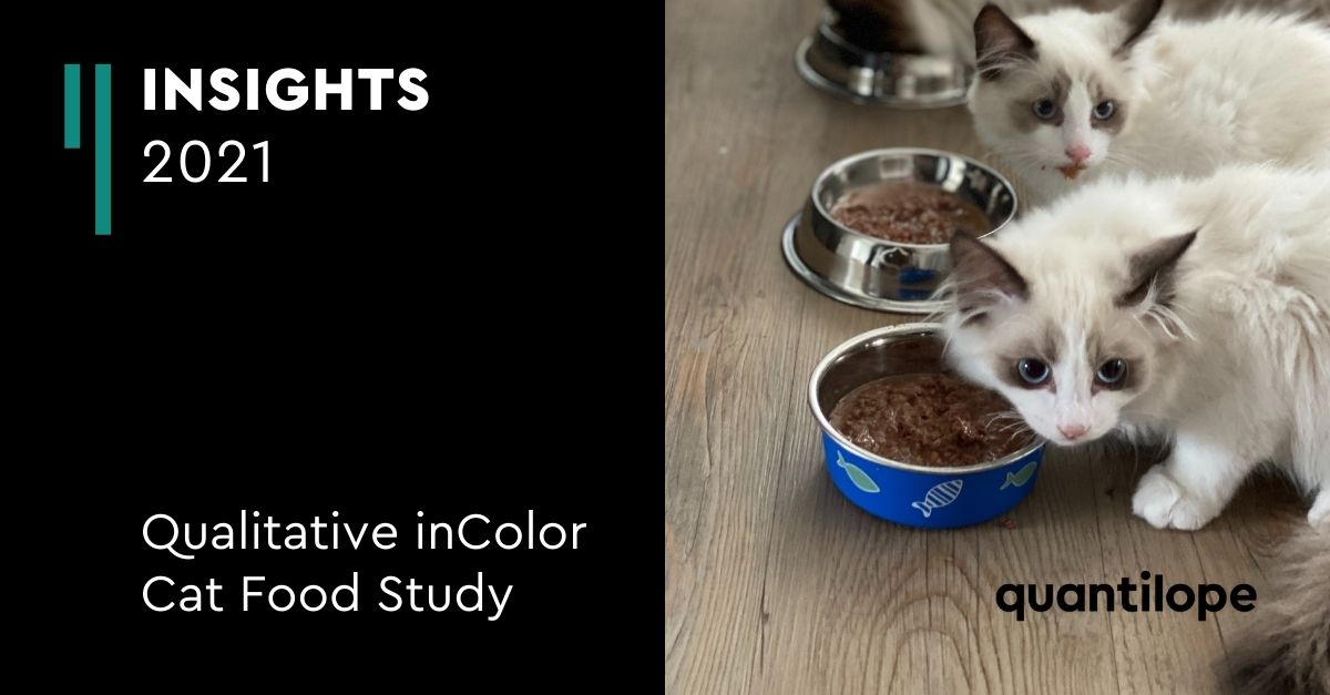 qualitative-incolor-cat-food-study