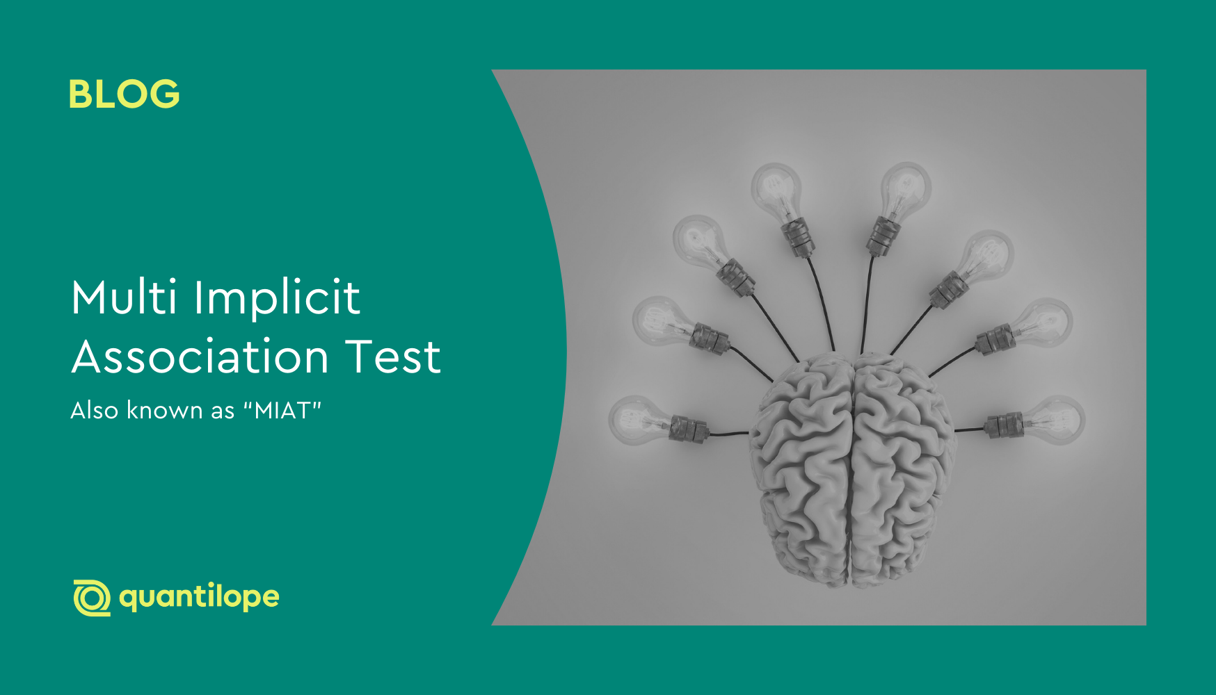 green blog background with black and white image of a brain and many lightbulbs