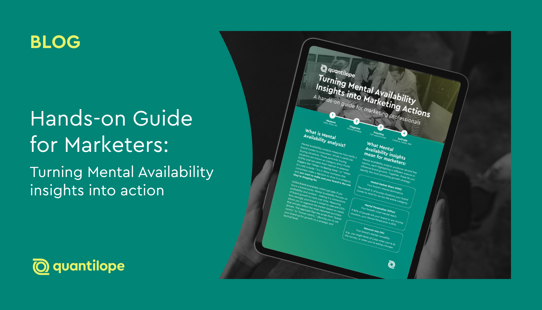 Hands-on Guide: Turning Mental Availability Insights Into Marketing Actions