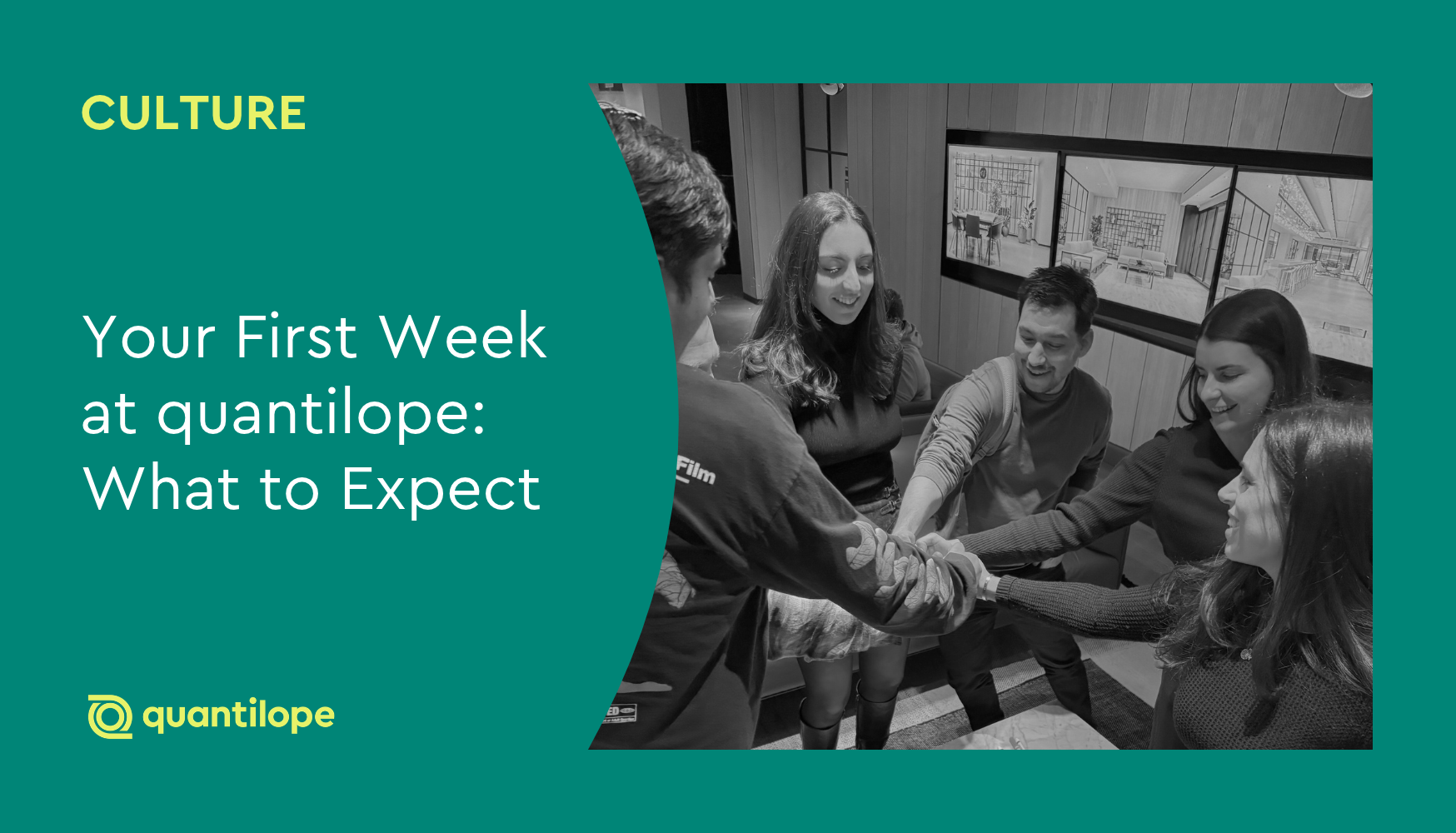 Your First Week at quantilope: What to Expect