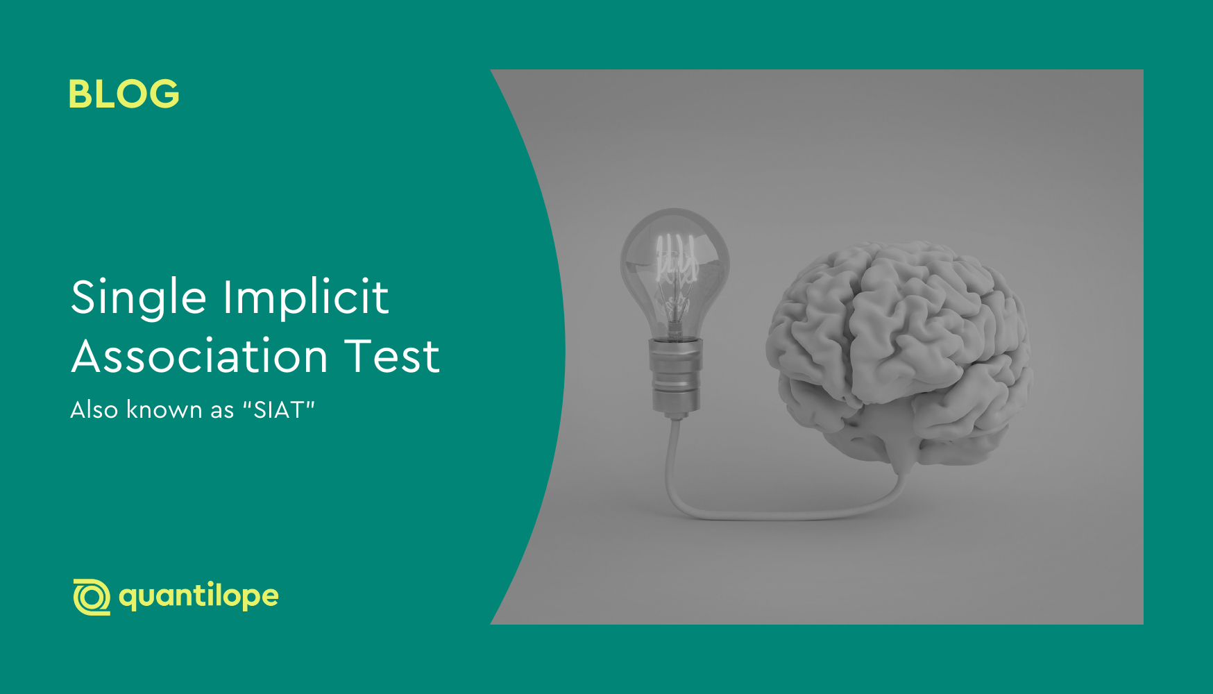 green blog background with black and white image of brain and light bulb 