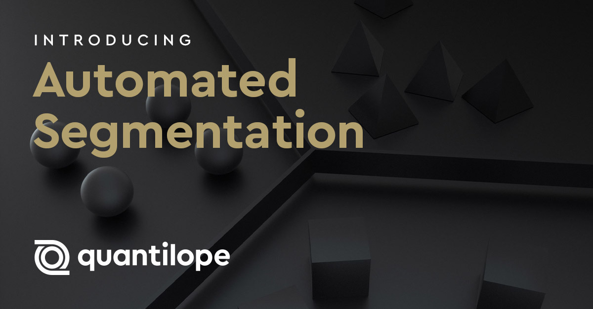 automated-segmentation